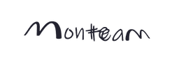 Monteteam